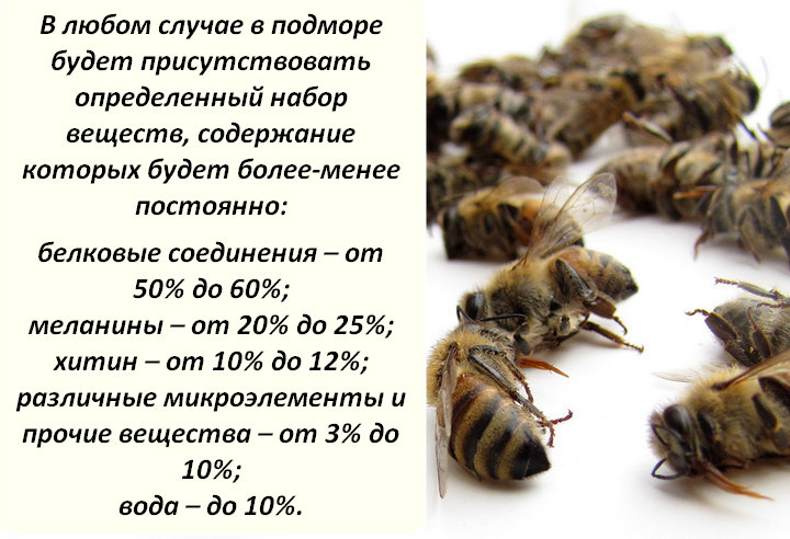 Лечебные свойства пчелиного подмора отзывы. Пчелиный подмор (пчелозан ). Настойка пчелиный подмор пчела. Пчелиный подмор ПОЛЕЗНЫЙСВОЙСТВА. Настой на пчелином подморе.